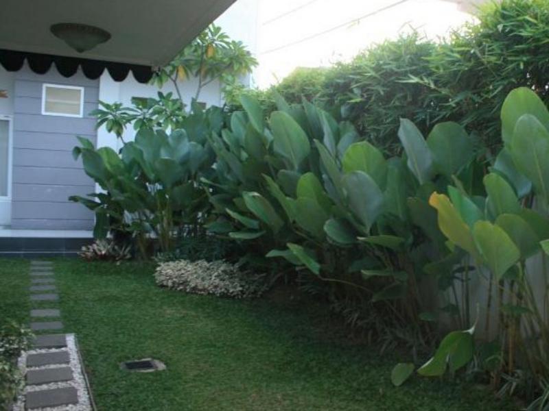 The Sriwijaya Hotel - Halal Hotel Padang  Dış mekan fotoğraf
